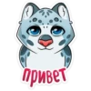 Cat tenderness :: 18