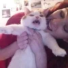 PETS! 17