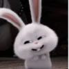 Bunnystikr:@kpop_stikers :: 18