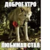 серьёзный пак 18