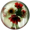 @Beegharar1980  Farzadandy1980 26