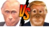 Monkey Putin 24