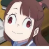 AnimePuck 25