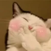 PETS! 25