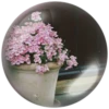 @Beegharar1980  Farzadandy1980 28