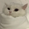 PETS! 28