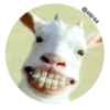 Face 30