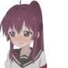 AnimePuck 29