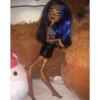Monster_high2.0 5