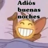 Adiós buenas noches