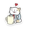 Bimbo Cat 7