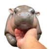 MOODENG 5