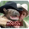 MOODENG 8