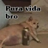 Pura vida bro