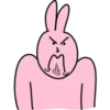 Pink Rabbit 💖 C☆ 9