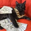 Meow^.^ 8