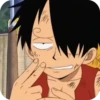 Monkey D Luffy ➩ 11