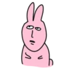 Pink Rabbit 💖 C☆ 12