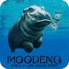 MOODENG 14