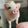 Pigs 2 💖 C☆ 10