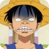 Monkey D Luffy ➩ 23