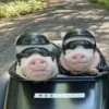 Pigs 1 💖 C☆ 10