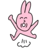 Pink Rabbit 💖 C☆ 25