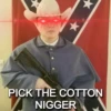 PICK THE COTTON NIGGER