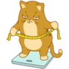 Bimbo Cat 10