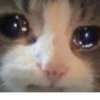 Meow^.^ 25