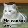 Me cansas wey