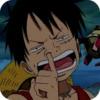Monkey D Luffy ➩ 29