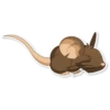 Transformice 5