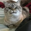 Thinking Yoba 11