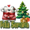 Mary Feliz Semana