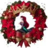 princesa 🎄 Clásica 🇲🇽 16