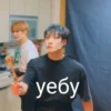 Stray kids world domination 25