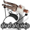 flork año nuevo🍾🃏 23