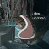 i don unerstan
