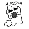 Pipka 5