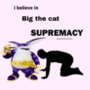 i believe in Big the cat SUPREMACY @infinitedixie