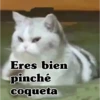 Eres bien pinché coqueta