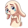Gentle Rabbit 7
