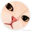 Círculos con gatos 6