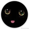 Círculos con gatos 7