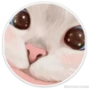 Círculos con gatos 8
