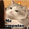 Me emputas