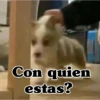 Con quien estas?
