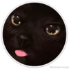 Círculos con gatos 17