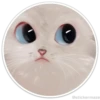 Círculos con gatos 18